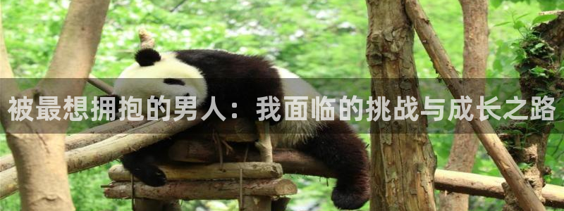 动漫之家怎么看漫画看不了：被最想拥抱的男人：我面临的挑战与成长之路