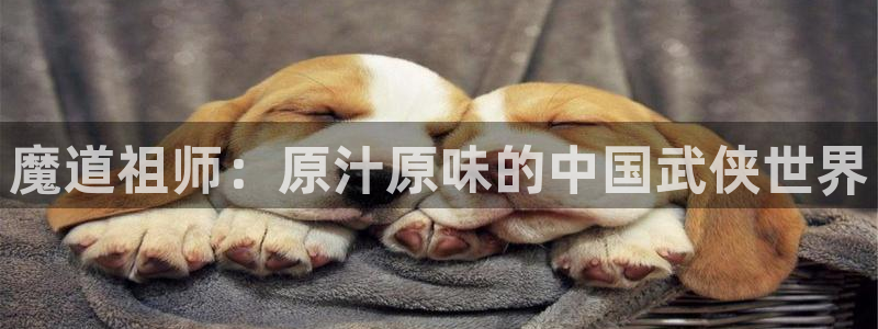 动漫之家网站下载