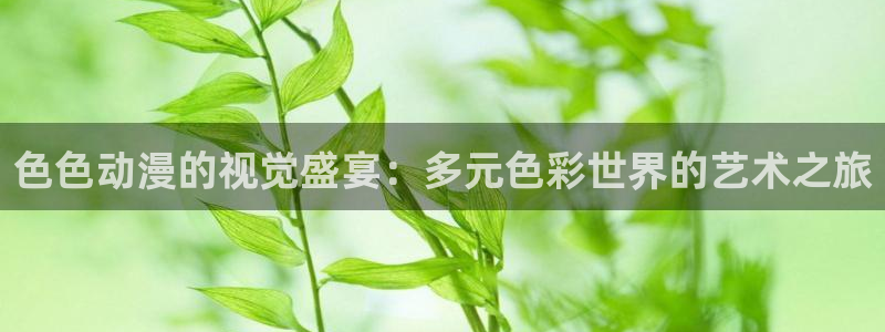 动漫之家历史版本：色色动漫的视觉盛宴：多元色彩世界的艺术之旅