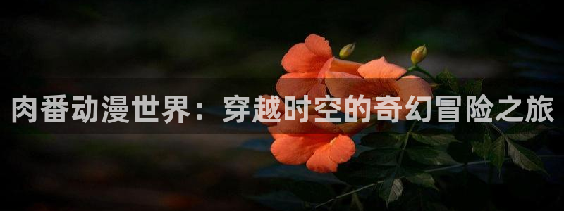 动漫之家日漫：肉番动漫世界：穿越时空的奇幻冒险之旅