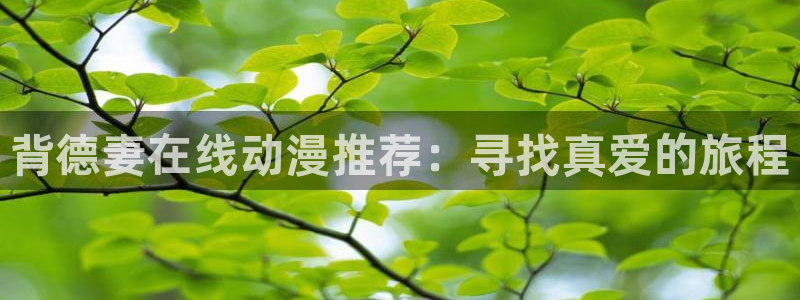 178动漫之家：背德妻在线动漫推荐：寻找真爱的旅程